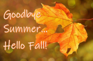 Continuing Strong into Fall