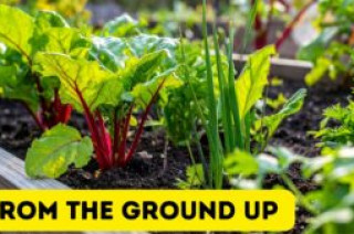 What Does Soil Health Have to Do With Our Food?