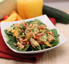 Vietnamese Chicken Salad