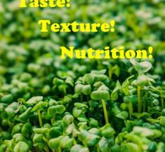 Microgreens: Big Benefits in a Small Package!