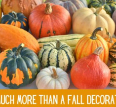 Decor or Dinner? Why Acorn Squash Needs to be on Your Plate!