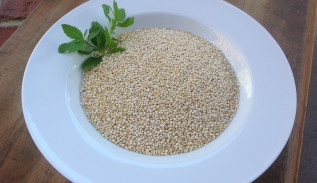 Quinoa – what is it?