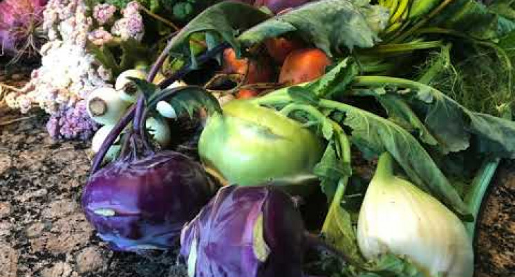 From the Farm to Your Fork: Kohlrabi