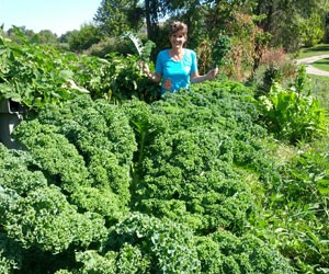 Zonya Kale Garden