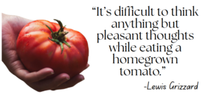 Photo of a hand holding a beautiful tomato with the caption "It's difficult to think anything but pleasant thoughts while eating a homegrown tomato."