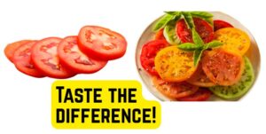 Photo of store-bought tomatoes next to garden tomatoes with the caption "Taste the Difference!"