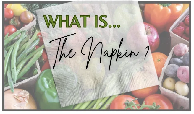 The Napkin Video Course