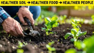 Photo of someone planting vegetables in healthy soil with the caption "Healthier Soil -> Healthier Food -> Healthier People"