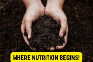 Image of someone holding healthy soil in their hands with the caption "Where Nutrition Begins!"